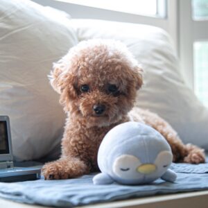 Luxurious Workspace Desk Mat