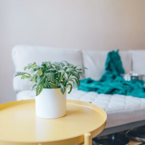 Compact Living Room Side Table